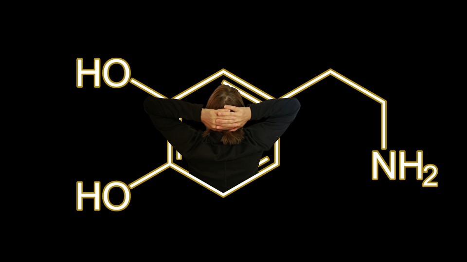Illustration of dopamine’s effect on the brain’s reward circuit